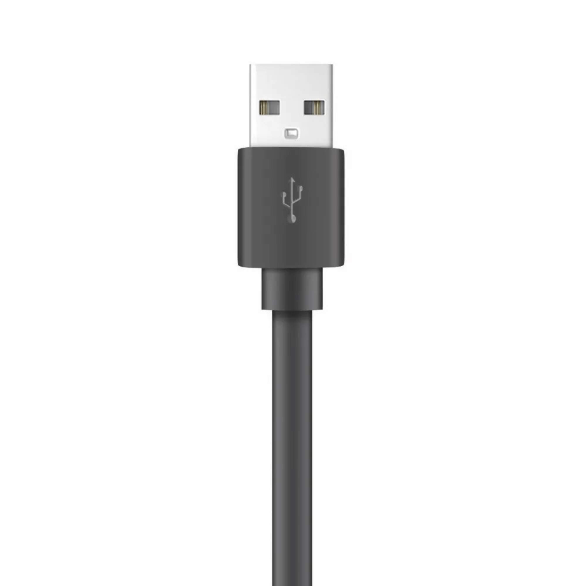 Xyst Charge and Sync USB to USB-C Flat Cable 4Ft