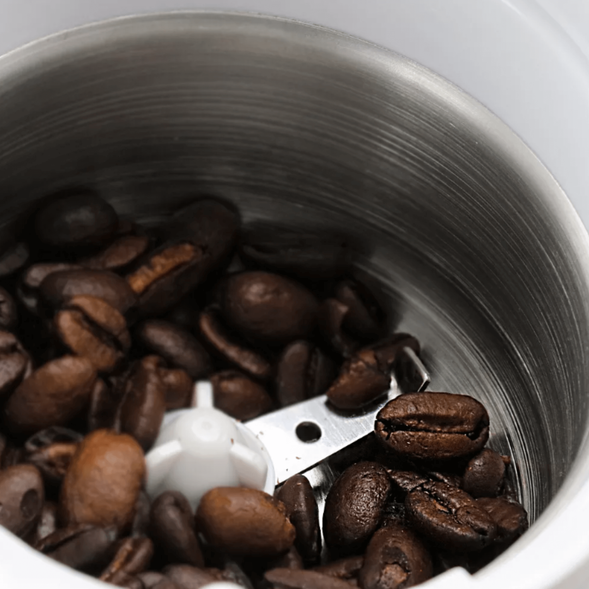 Better Chef Power Blade Coffee Grinder - REFURBISHED