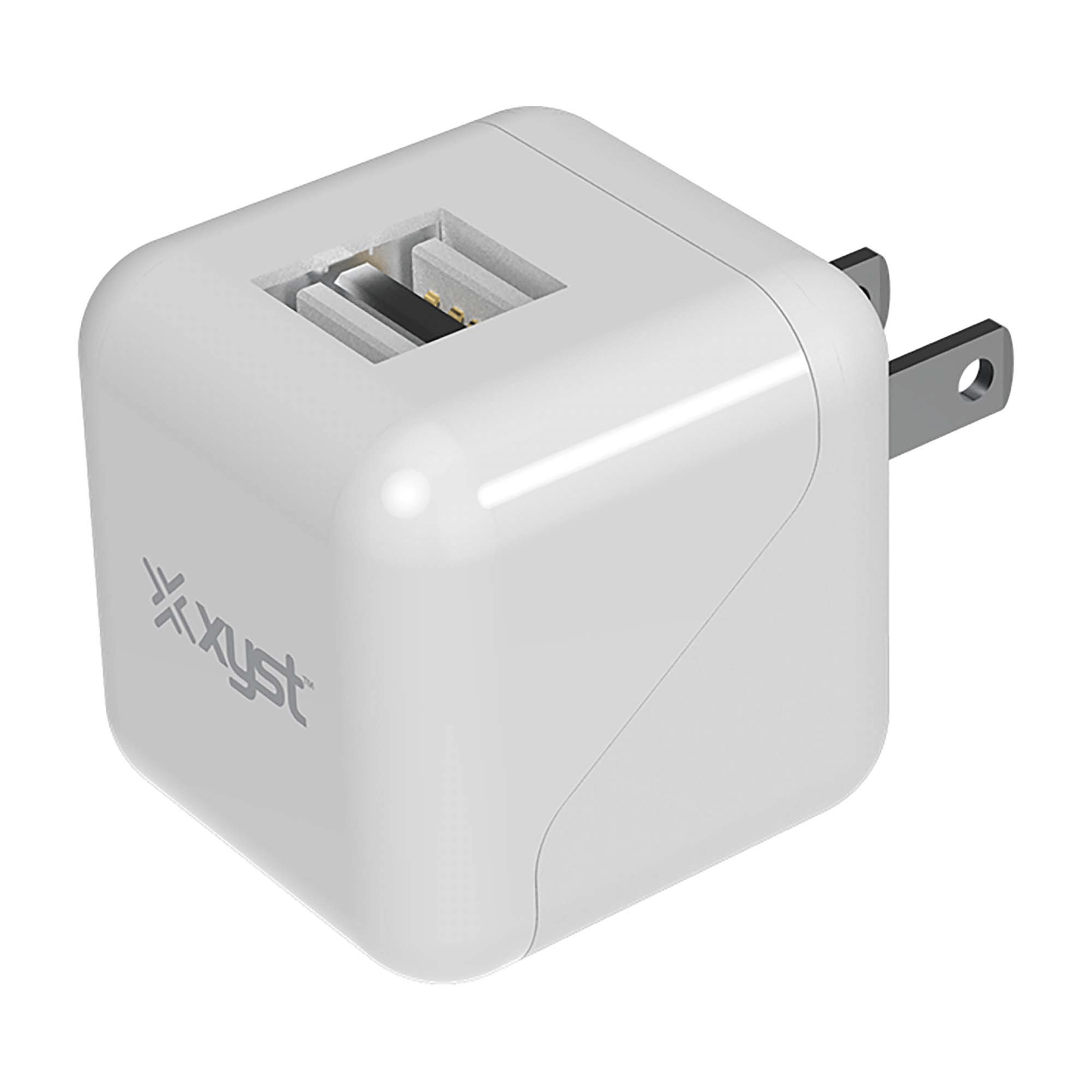 Xyst 2.4-Amp Dual USB Foldable Wall Charger