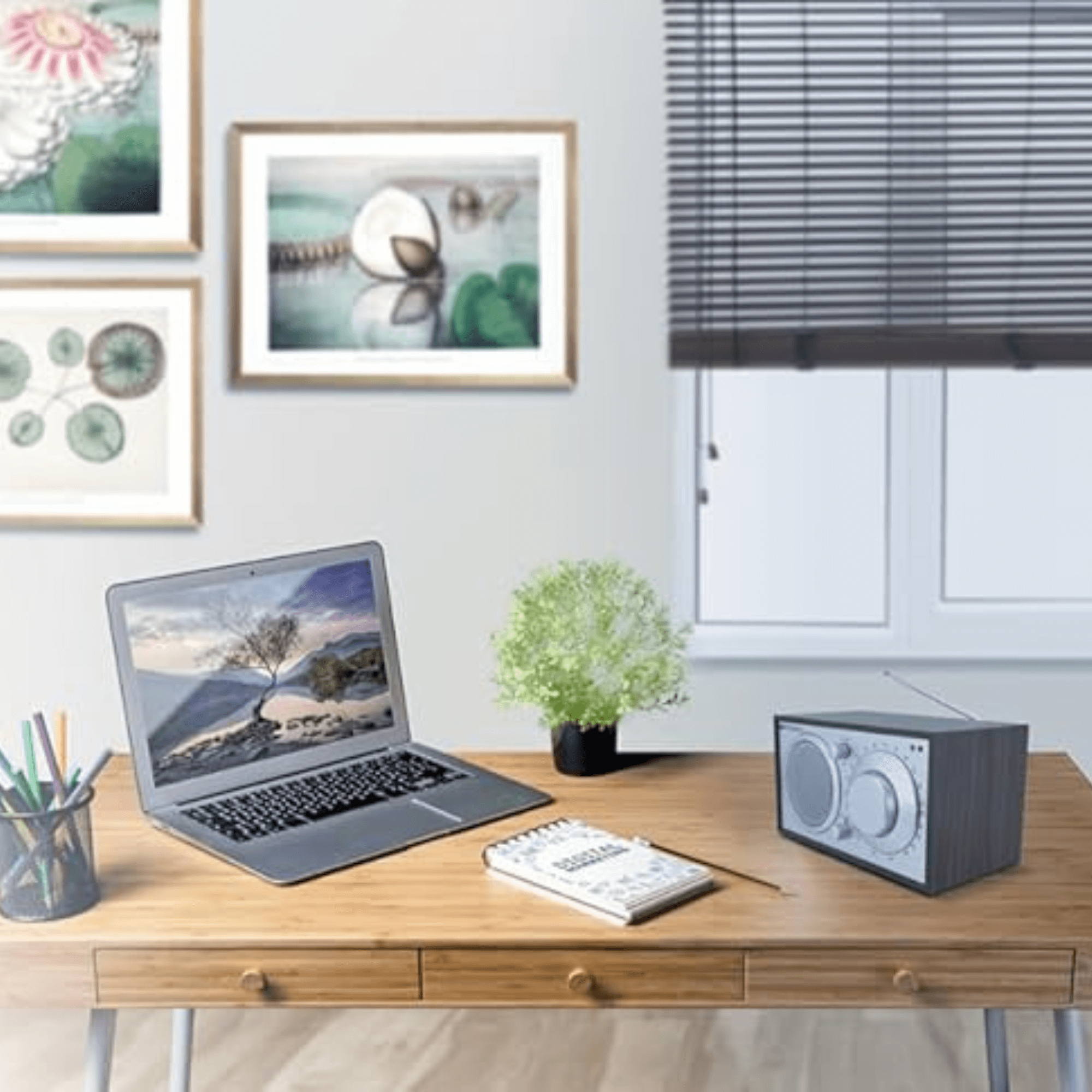 Emerson AM / FM Radio with Built-In Speaker