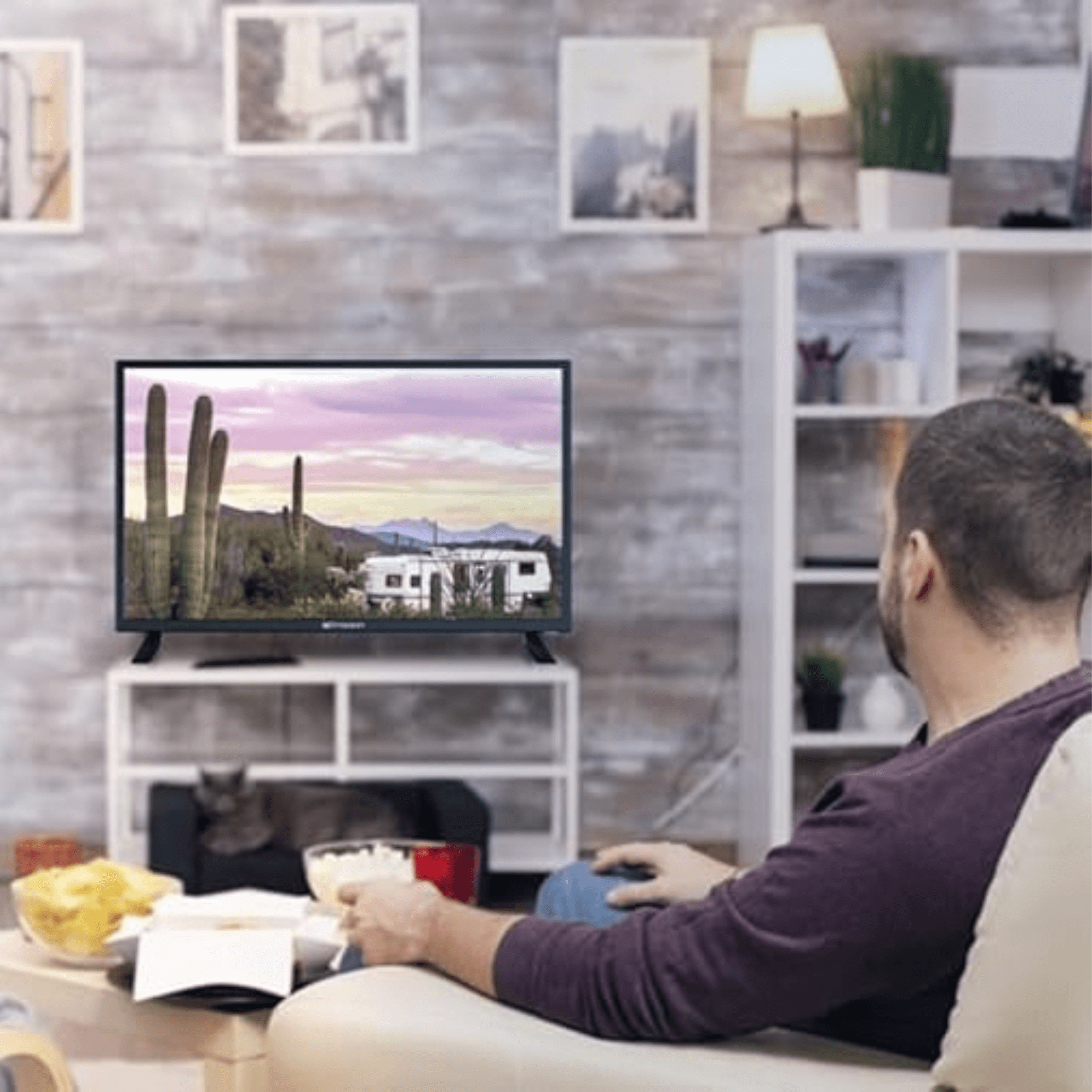 Emerson 24" Class Widescreen AC/DC 12V HD LED Television with DVD Player