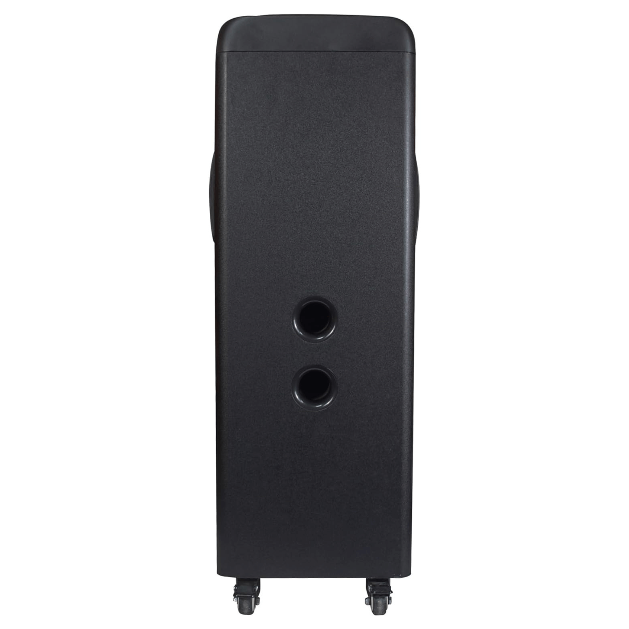 IQ Sound TorusFLEX 2x10-Inch Portable Bluetooth DJ Speaker