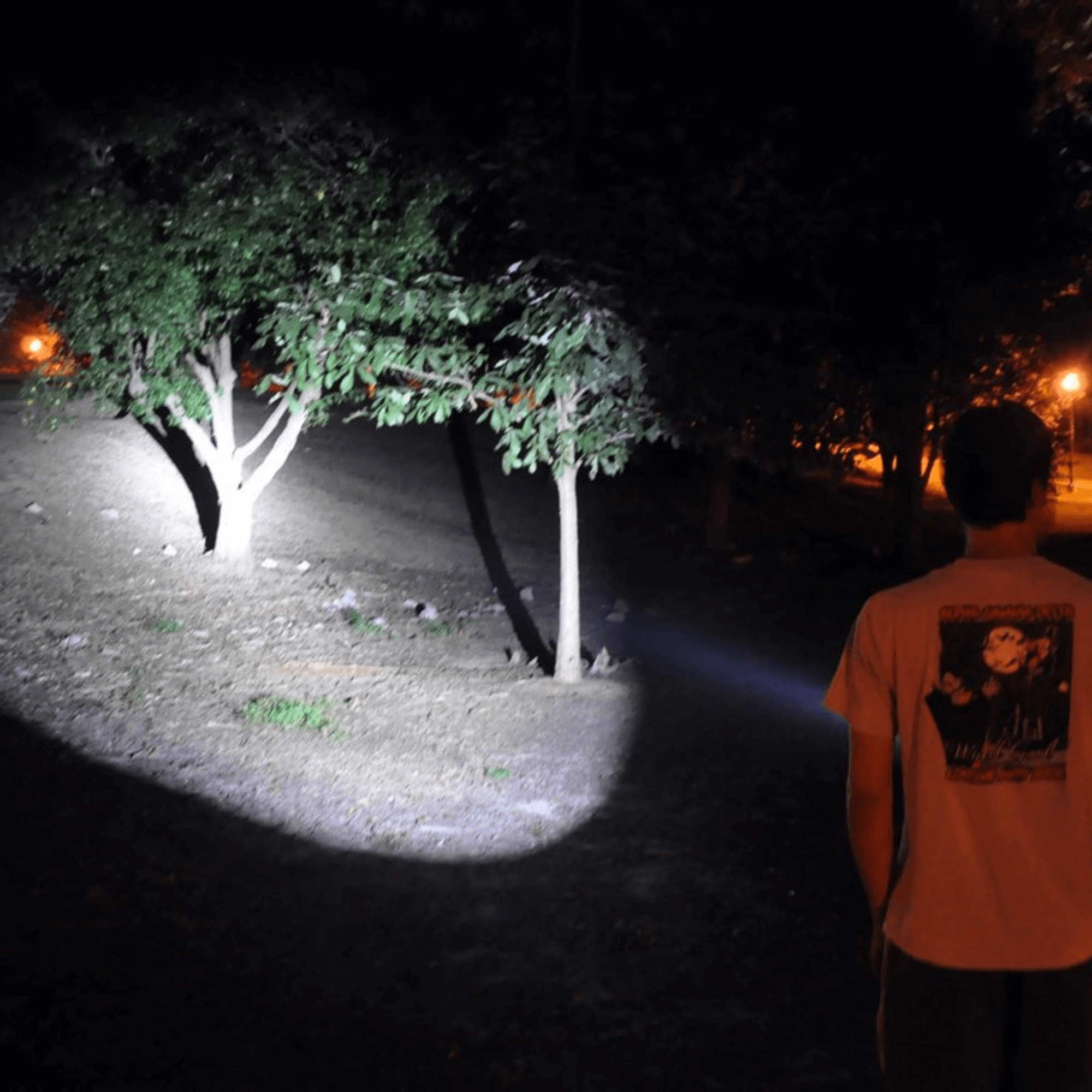 Solaray ZX-1 AAA Battery LED Flashlight 2-Pack