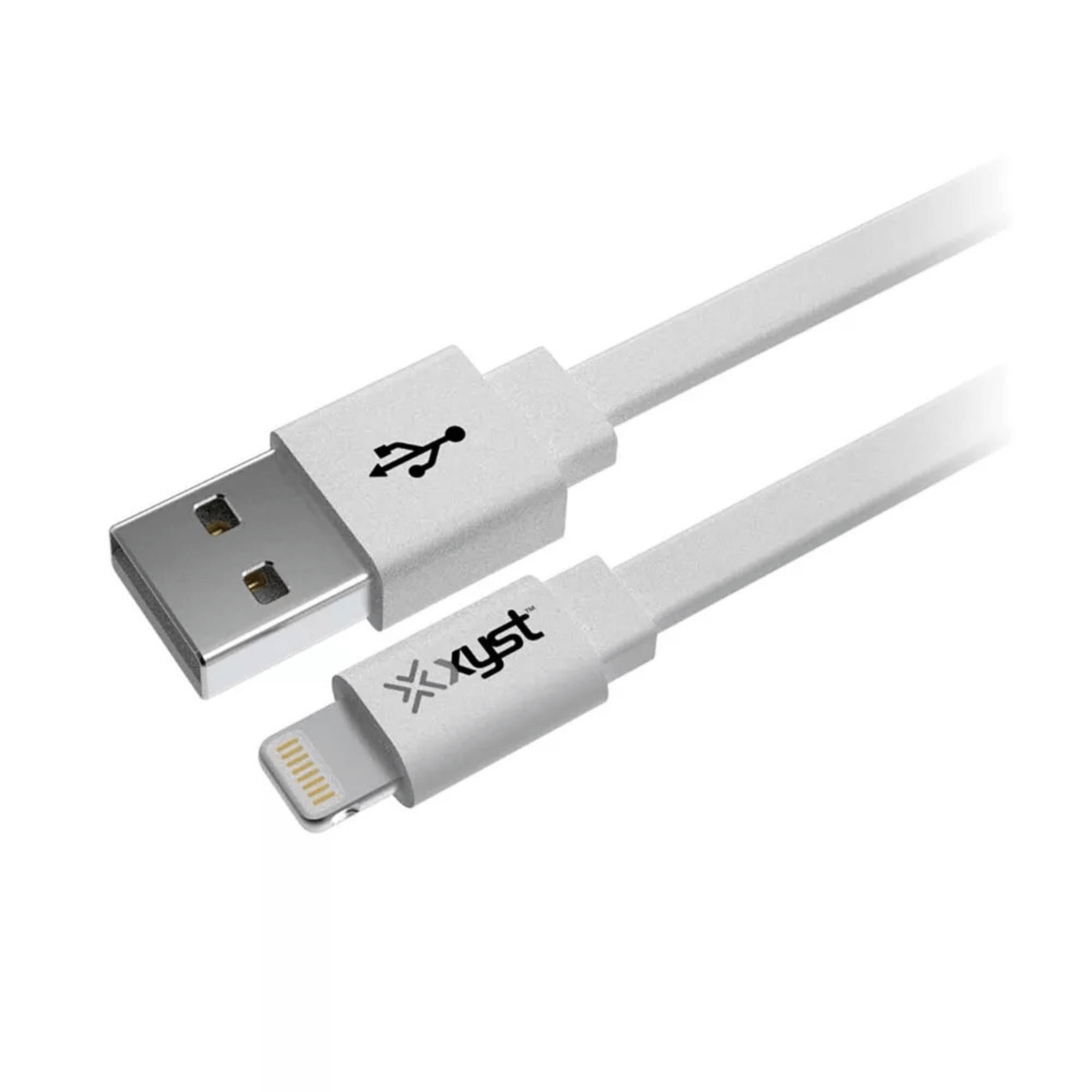 Xyst 2.4-Amp Dual USB Wall Charger With 4Ft Lightning Cable