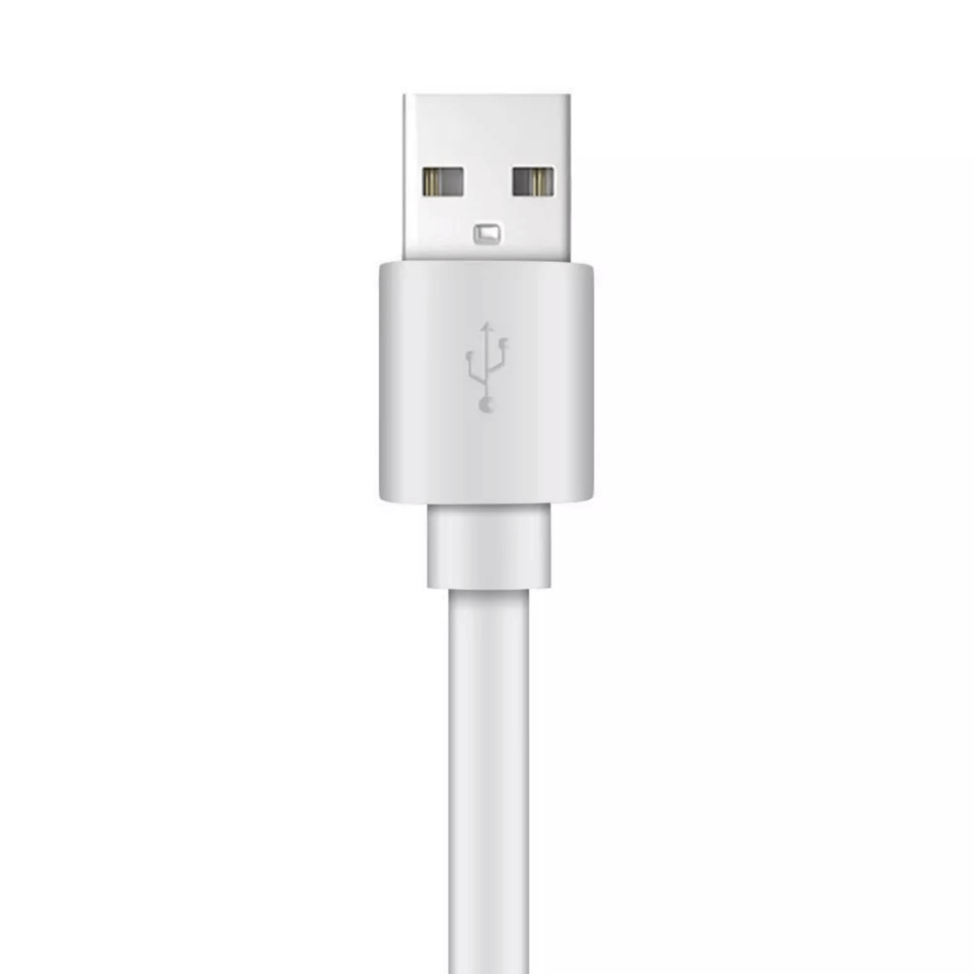 Xyst Charge and Sync USB to Lightning Flat Cable 4Ft