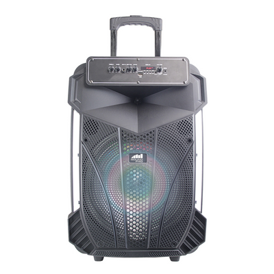 Portable 15 inch Bluetooth Party Speaker with Disco Light (NDS-1535)