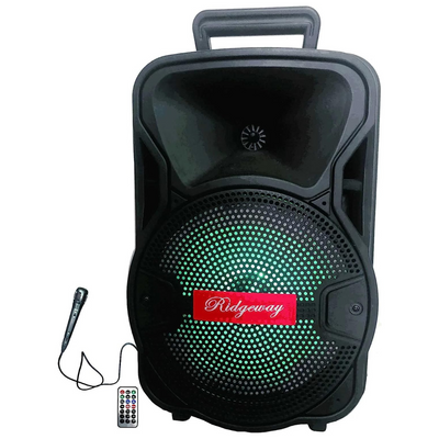 Ridgeway 8" Portable Bluetooth Speaker with Multi-Light System and Powerful Bass