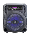 Portable 8 inch Bluetooth Party Speaker with Disco Light (NDS-8009)