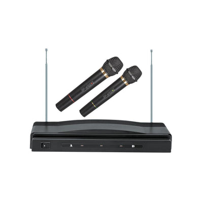 Professional Dual Wireless Microphone System (SC-900)