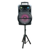 15-Inch Portable Party Speaker Combo Kit (NDS-1515)