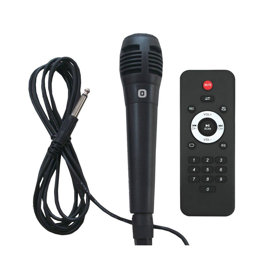 12" Bluetooth Speaker w TWS, FM Radio & Vol Mic Control (IQ-6112DJBT)