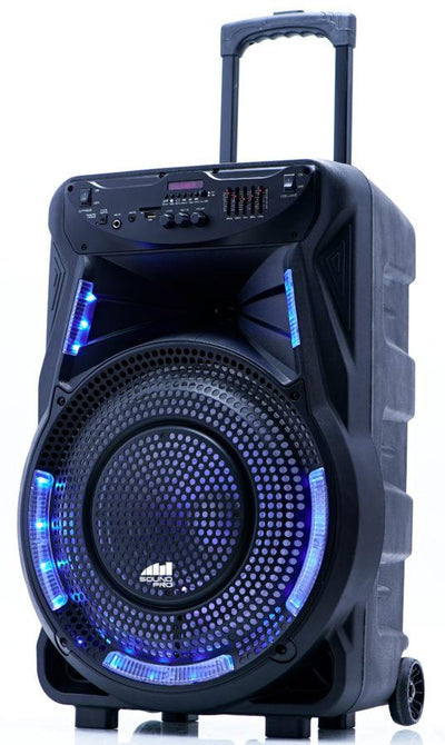 Portable 15 inch Bluetooth Party Speaker with Disco Light (NDS-1534)