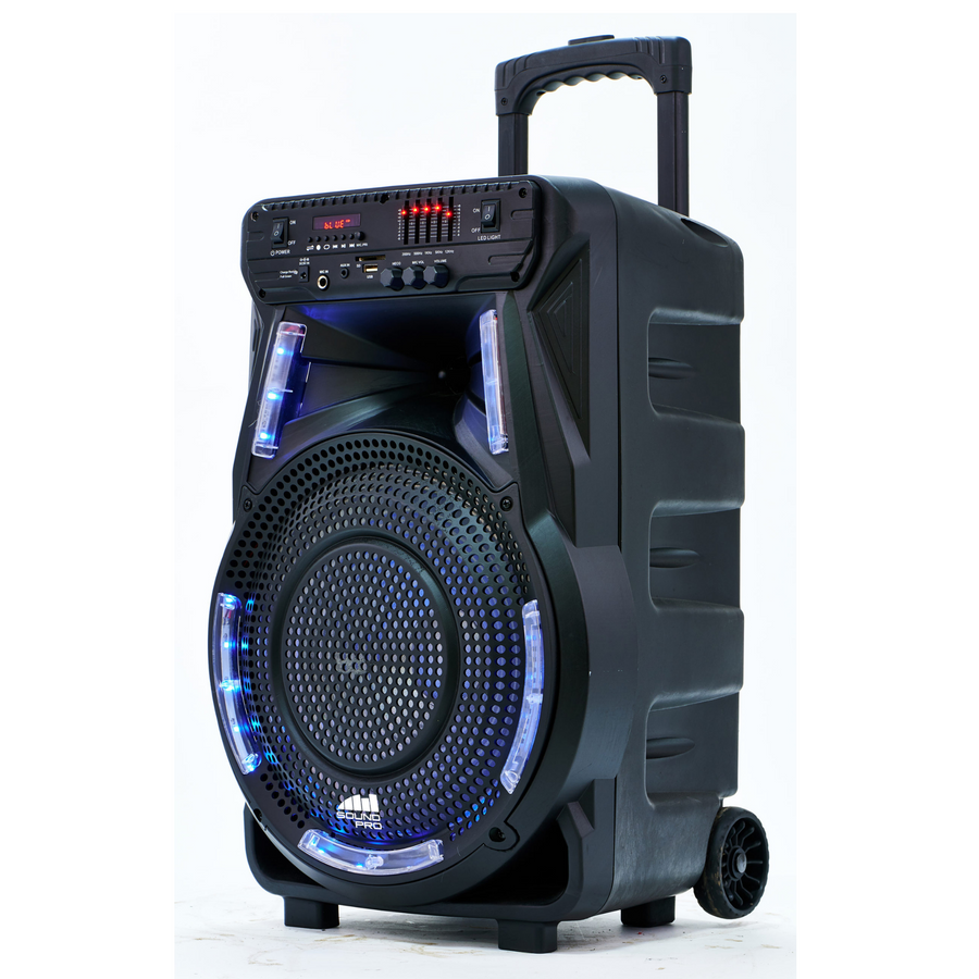Portable 12 inch Bluetooth Party Speaker with Disco Light (NDS-1234)