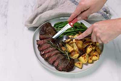 Ginsu Kiso Dishwasher Safe 6-Piece Steak Knife Set